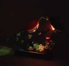 Orca & Turtle Resin Night Light